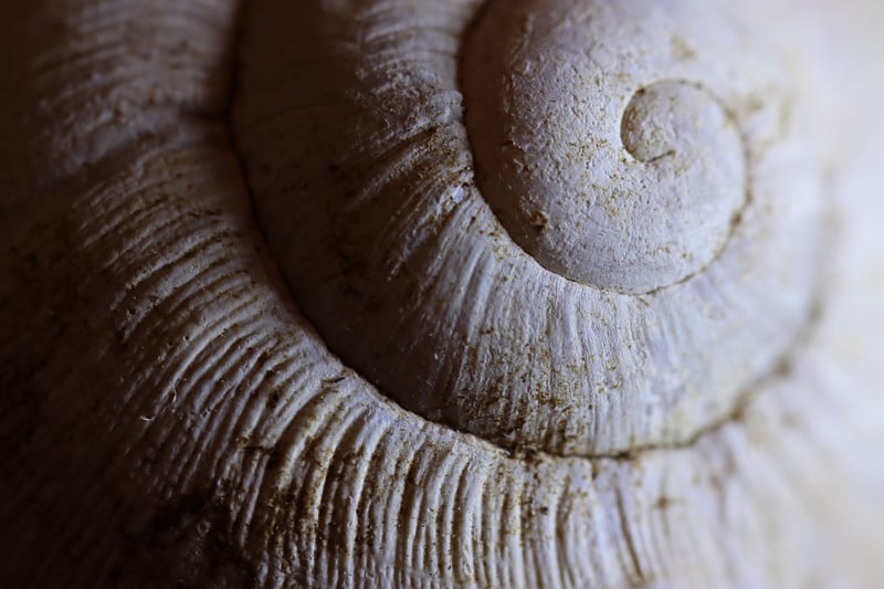 Herb Spiral Construction