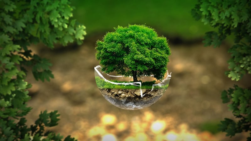 Rainwater Harvesting